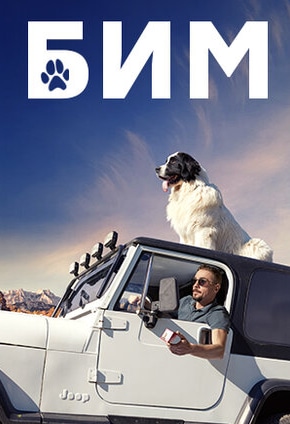 постер БиМ