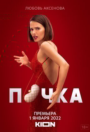 постер Почка