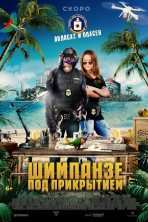 постер Шимпанзе под прикрытием