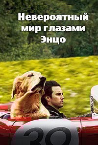 постер Невероятный мир глазами Энцо