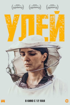 постер Улей