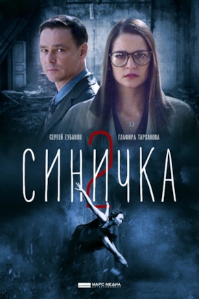 постер Синичка 2