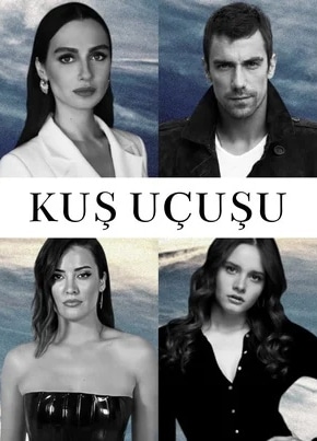 постер Полет птицы