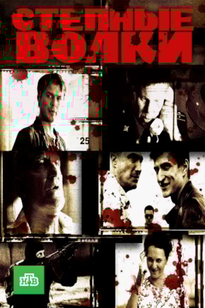 постер Степные волки