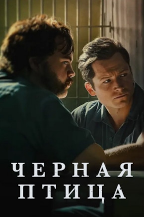 постер Черная птица