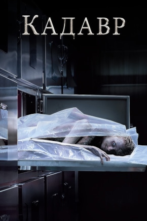 постер Кадавр