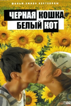 постер Черная кошка, белый кот