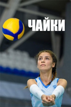 постер Чайки