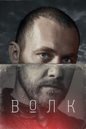 постер Волк