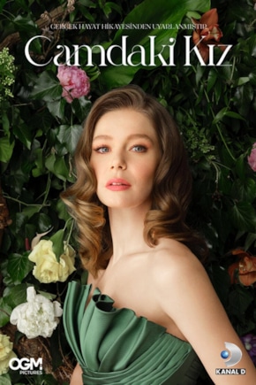 постер Девушка за стеклом