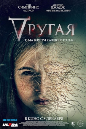 постер Другая