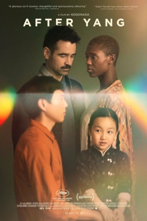 постер После Янга