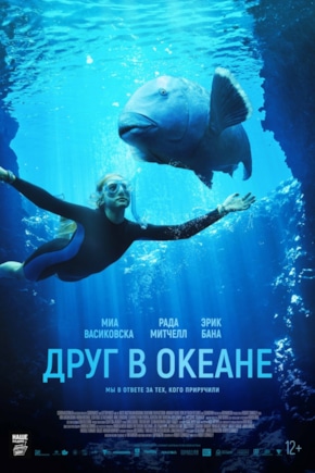 постер Друг в океане