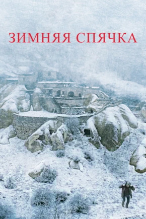 постер Зимняя спячка