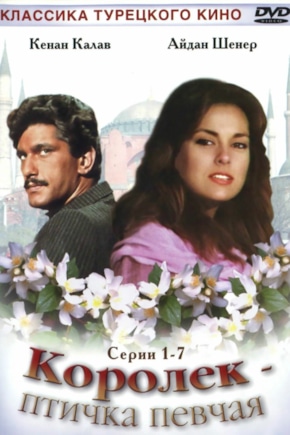 постер Королек — птичка певчая