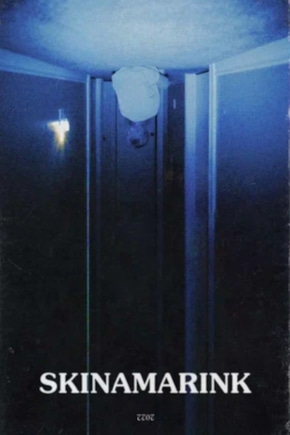 постер Скинамаринк
