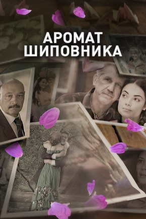 постер Аромат шиповника