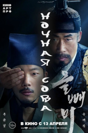 постер Ночная сова