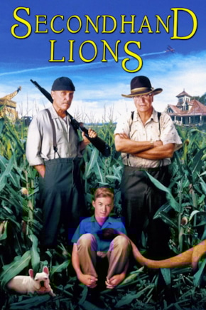 постер Подержанные львы