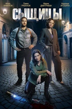 постер Сыщицы