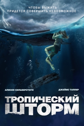 постер Тропический шторм