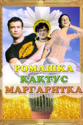 постер Ромашка, кактус, маргаритка