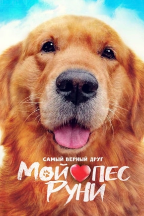 постер Мой пес Руни
