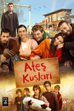 постер Жар-птицы