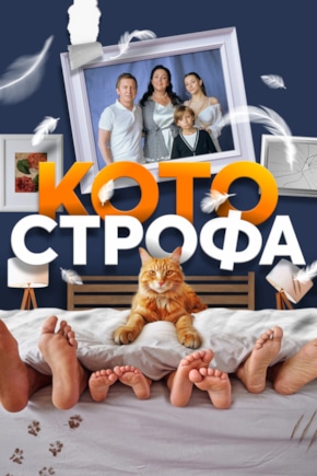 постер Котострофа