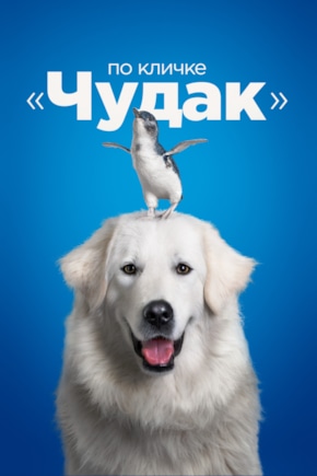 постер По кличке «Чудак»