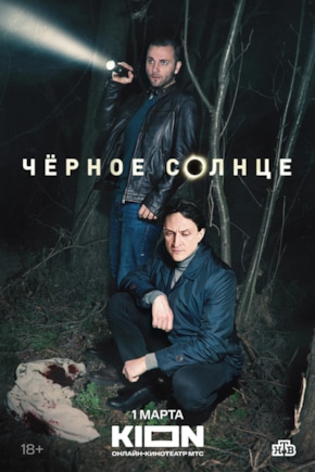 постер Черное солнце
