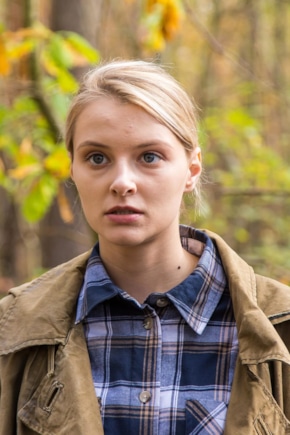 постер Полевых цветов букет