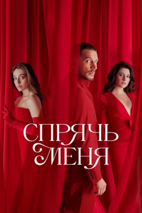 постер Спрячь меня