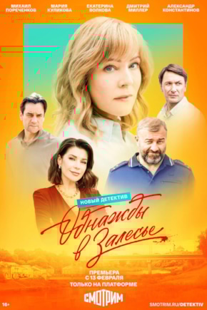 постер Однажды в Залесье