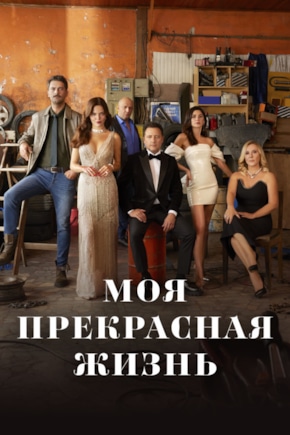 постер Моя прекрасная жизнь