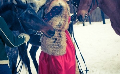 Дарья Корниенко