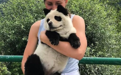 Валерия Васнецова