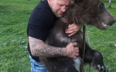 Джефф Монсон