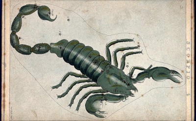 Любовный гороскоп на неделю с 13 по 19 июля 2020 года: Скорпион