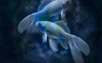 Финансовый гороскоп на неделю с 20 по 26 июля 2020 года: Рыбы