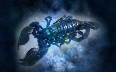 Любовный гороскоп на неделю c 27 июля по 2 августа 2020 года: Рак