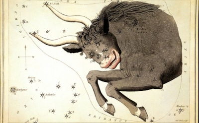 Финансовый гороскоп на август 2020 года: Телец