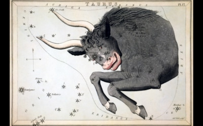 Гороскоп на неделю с 10 по 16 августа 2020 года: Телец