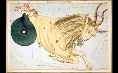 Гороскоп на неделю с 10 по 16 августа 2020 года: Козерог