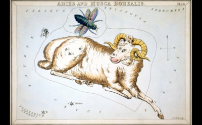 Любовный гороскоп на неделю с 10 по 16 августа 2020 года: Овен