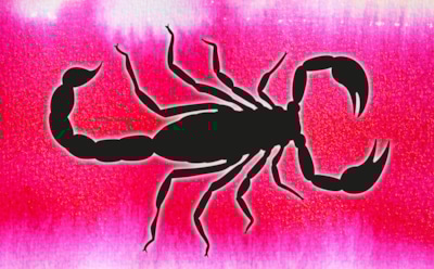 Гороскоп на сентябрь 2020 года: Скорпион