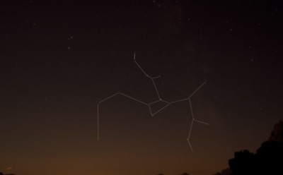 Гороскоп на неделю с 22 по 28 марта 2021 года: Стрелец