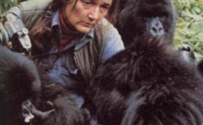 Дайан Фосси: 82 года со дня рождения защитницы горилл 