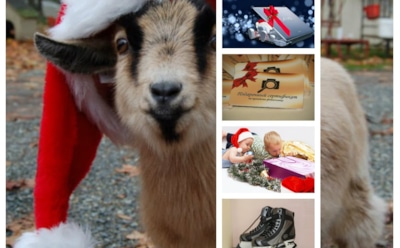 Подарки на Новый год 2015