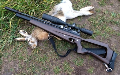 Самая мощная пневматическая винтовка